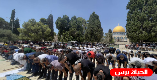 أكثر من 55 ألف مصلٍ يؤدون صلاة الجمعة في الأقصى